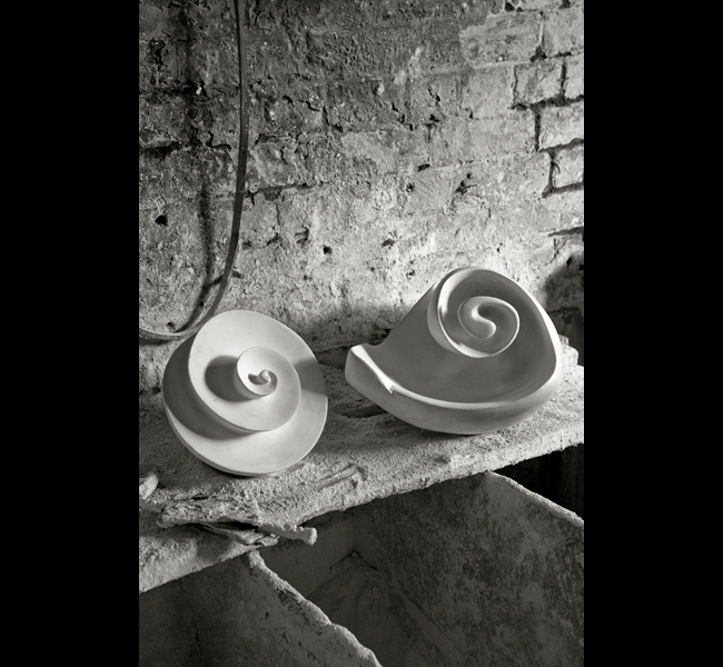 Spiral form and Shell sculpture